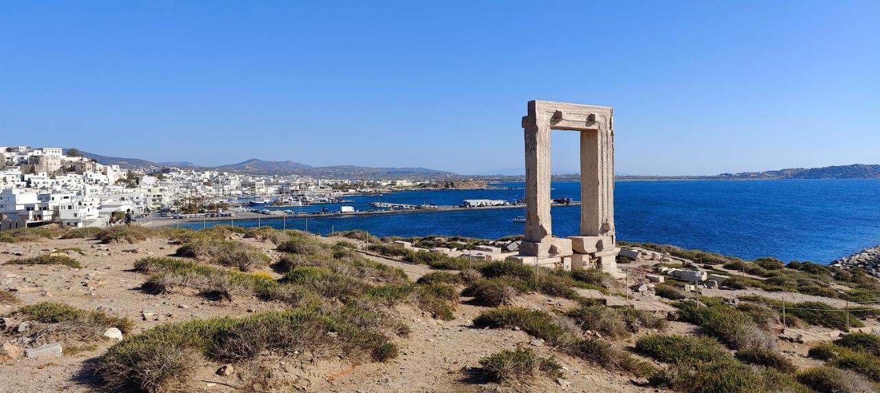 Cycladic Home On The Hill With Beautiful Views!! Agkidia エクステリア 写真